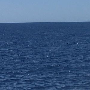 Meet your Posher, Alice